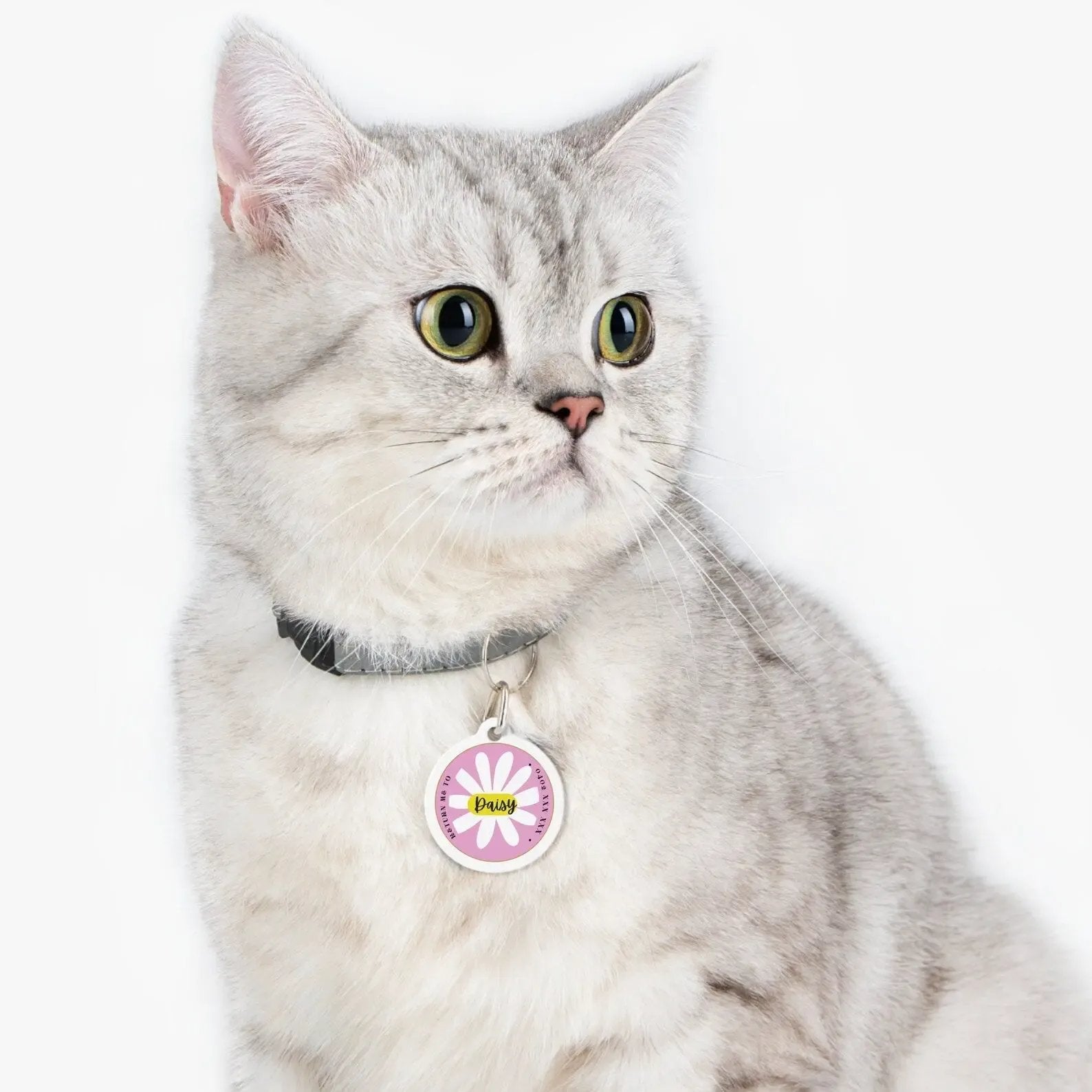 Next-Cart Store Pet Tag 2222 2222