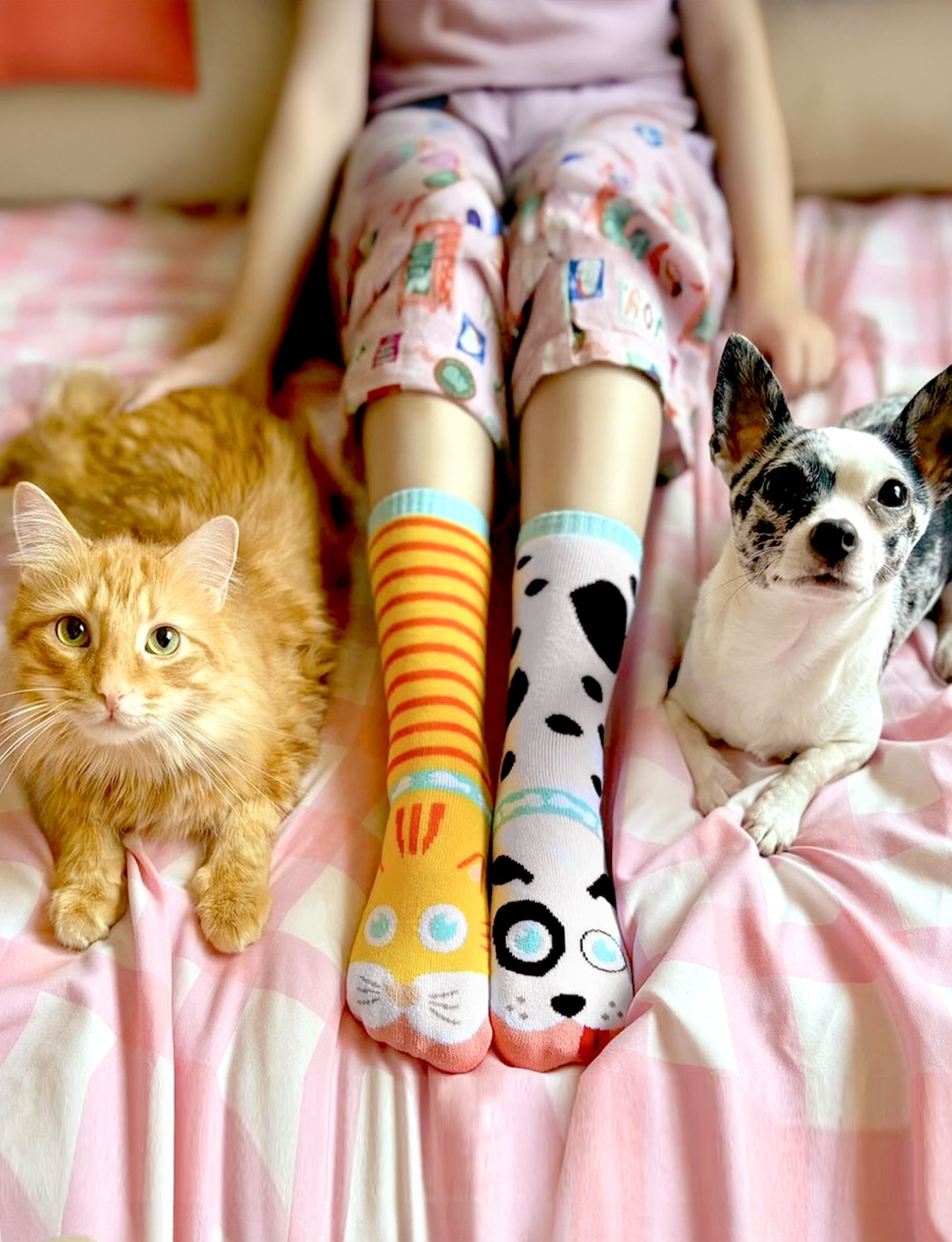 ADULT CAT & DOG SOCKS - Call of duty toys test 2